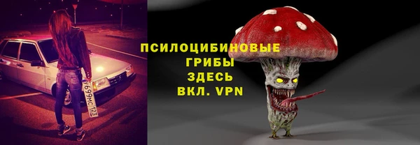 ПСИЛОЦИБИНОВЫЕ ГРИБЫ Мегион
