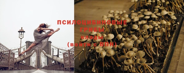тгк Медвежьегорск