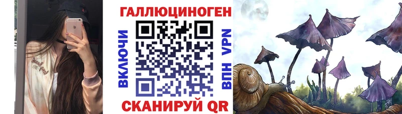где можно купить   Нарьян-Мар  omg   Псилоцибиновые грибы GOLDEN TEACHER 