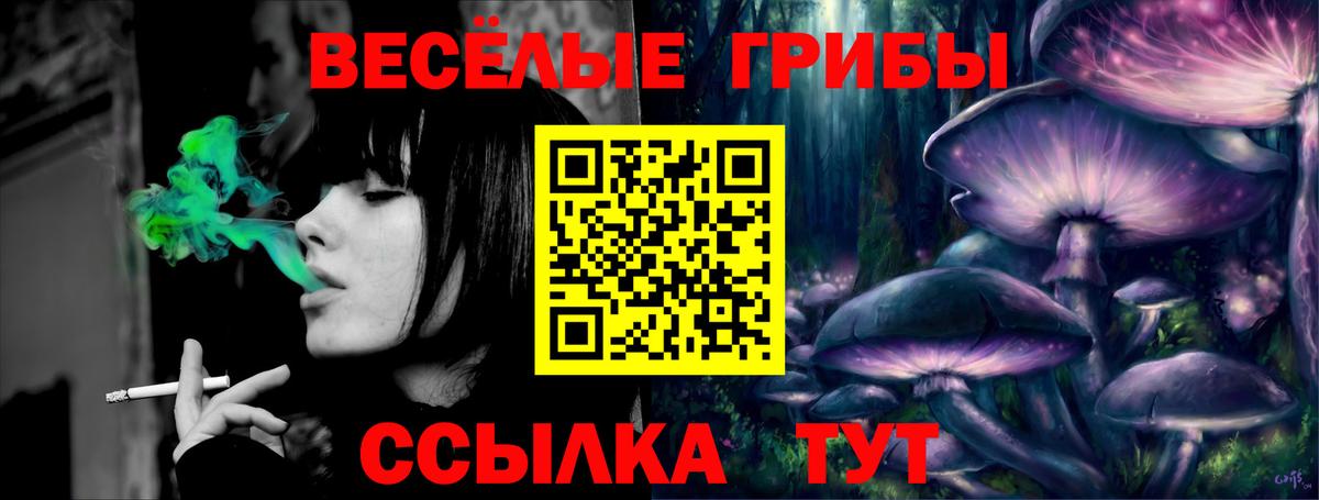 Галлюциногенные грибы GOLDEN TEACHER Нарьян-Мар