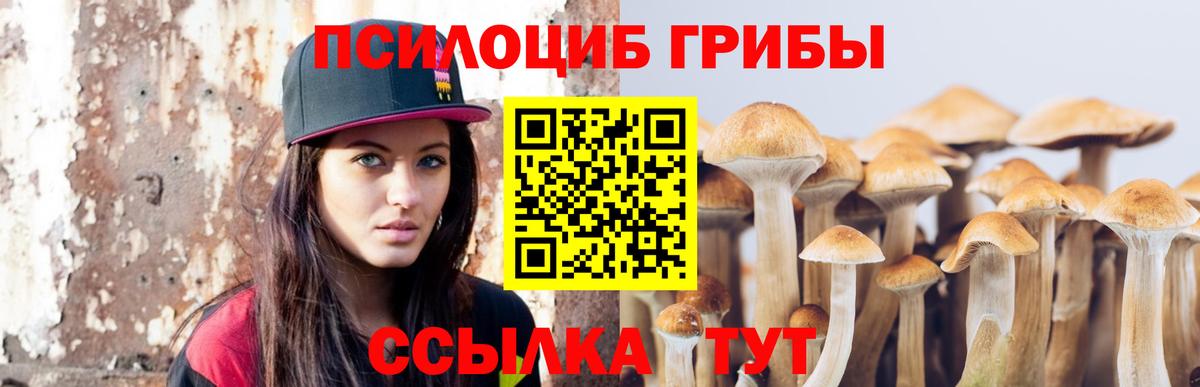 Псилоцибиновые грибы мицелий  Вход с VPN  Нарьян-Мар 
